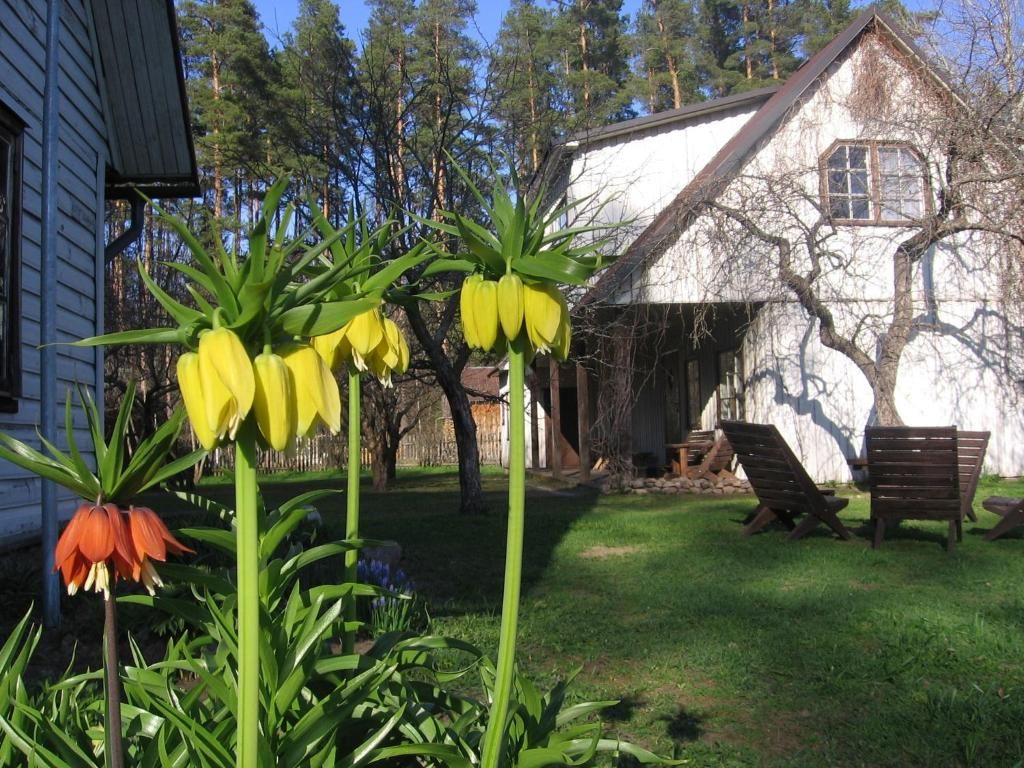 Дома для отпуска Männi Farm Holiday House Eoste